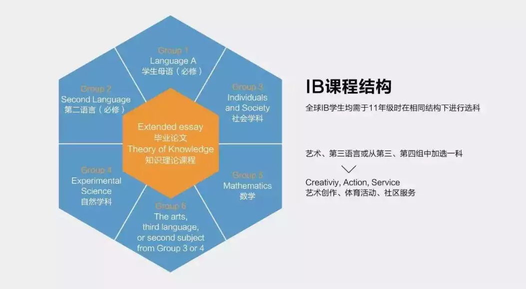 IB課程輔導(dǎo)一對一進(jìn)階課程